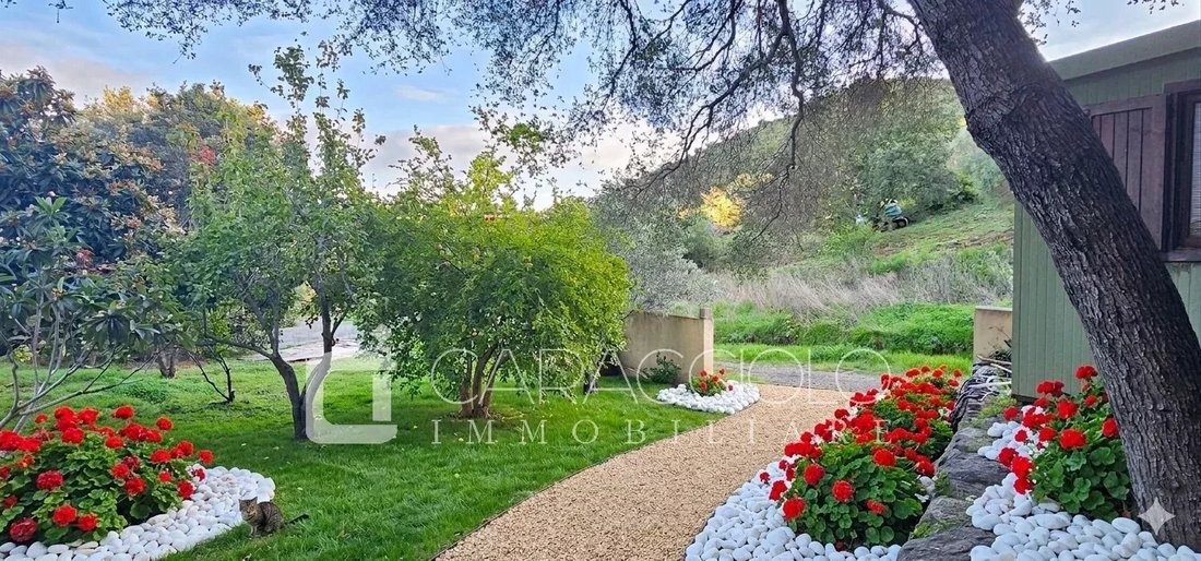Villa in Porto Rotondo, Olbia, Sardinia 5 - 17851380