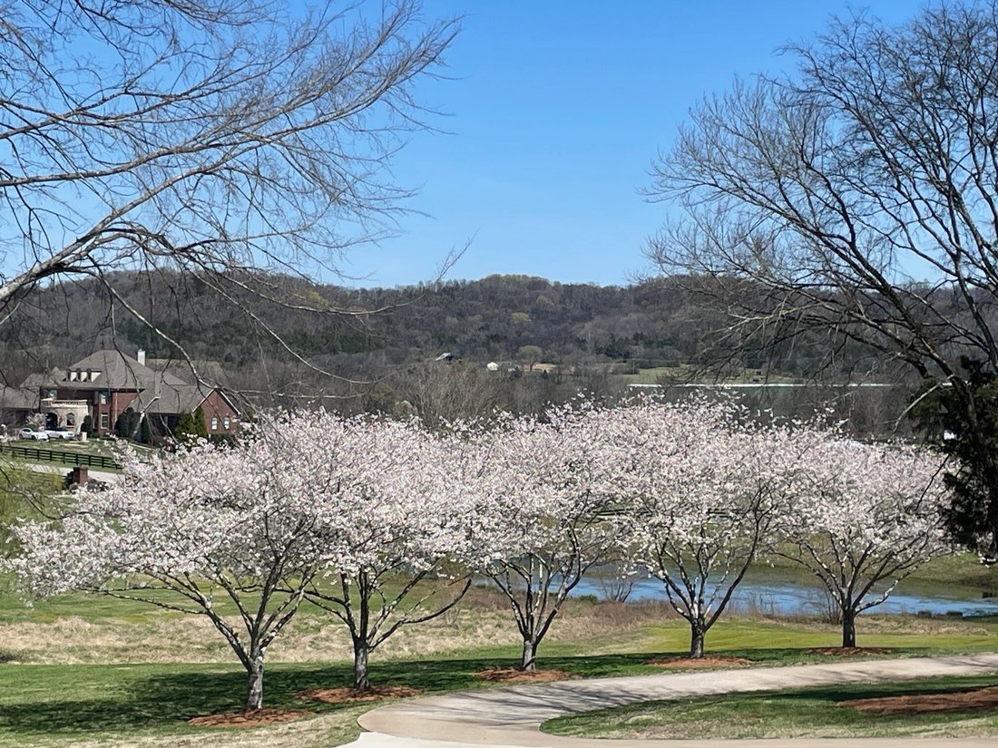 House in Franklin, Tennessee, United States 5 - 17852200