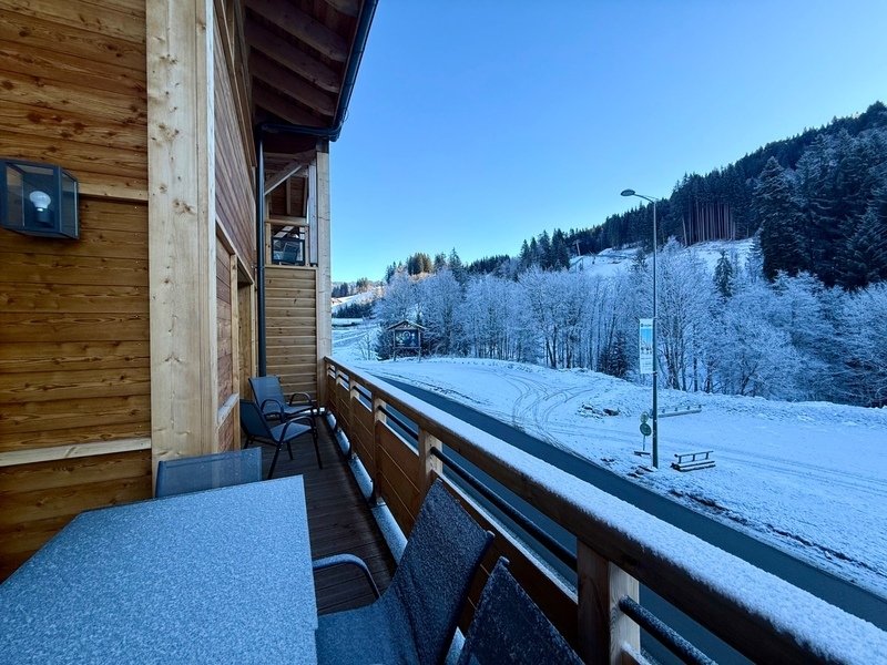 Apartment in Les Gets, Auvergne-Rhône-Alpes, France 4 - 17853109