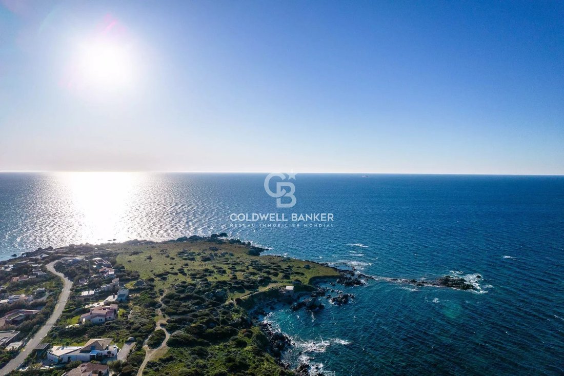 Villa in Corbara, Corsica, France 3 - 16485558
