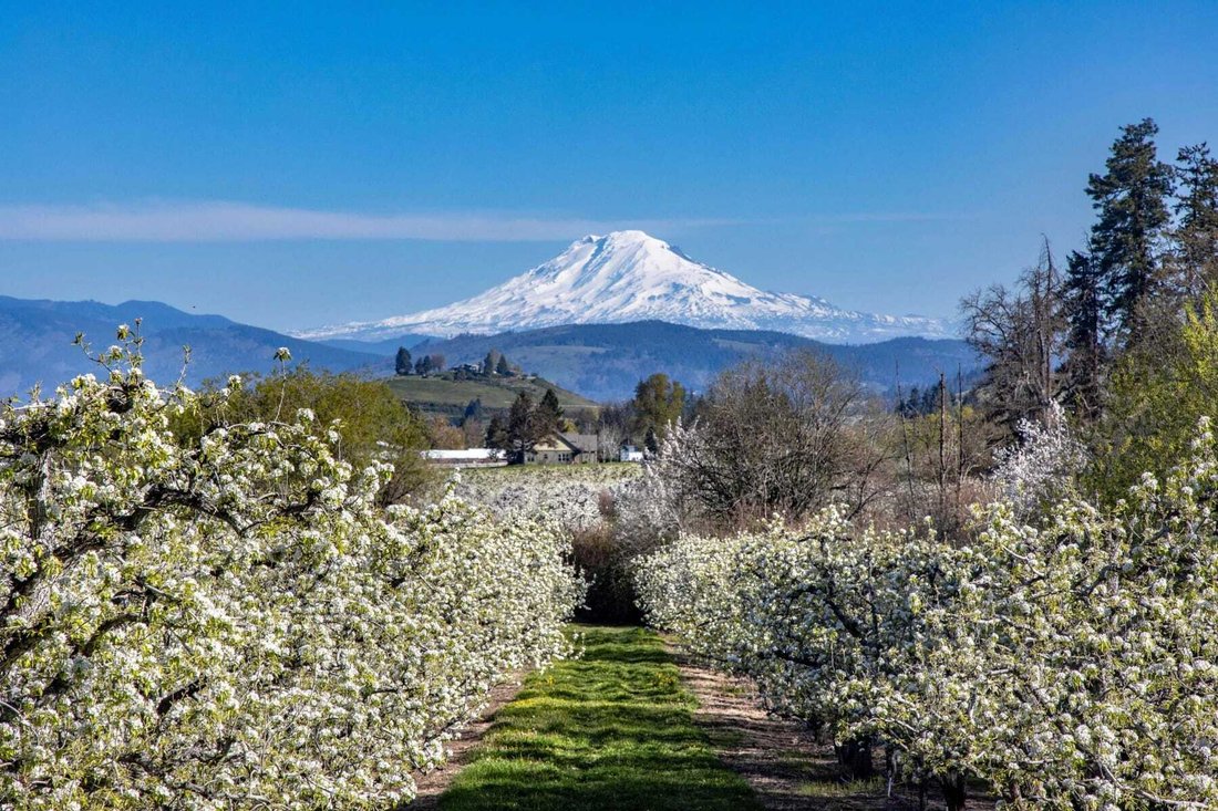 House in Hood River, Oregon, United States 2 - 17852712