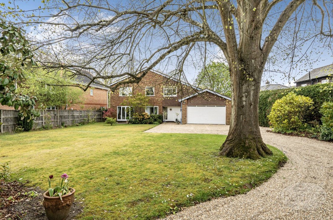 House in Normandy, England 2 - 17703238