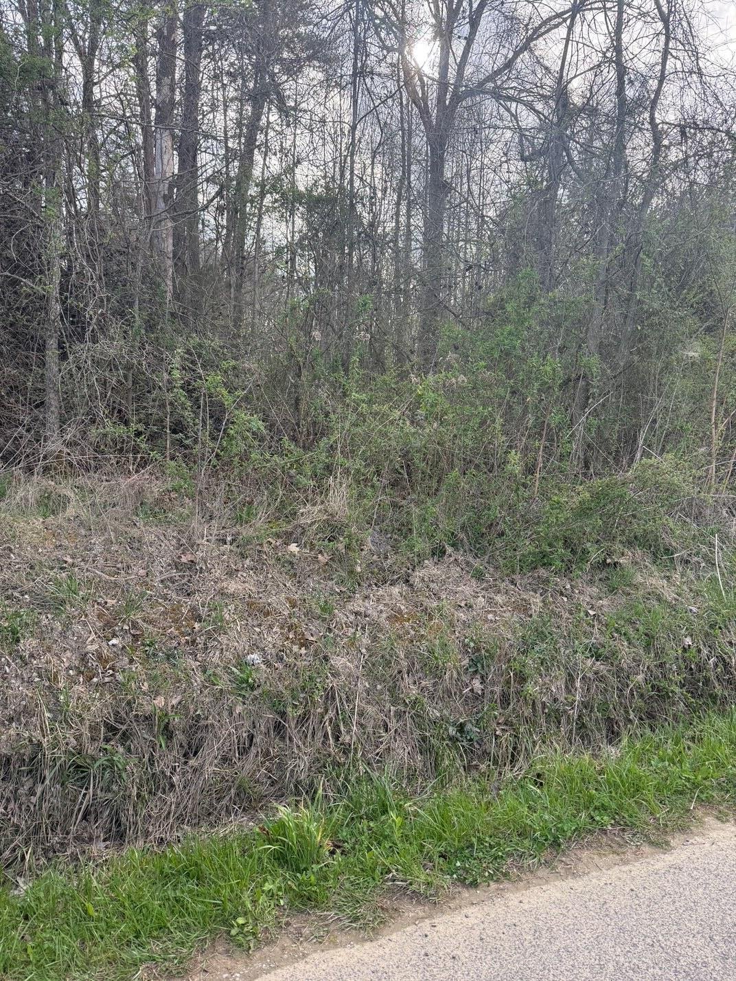 Land in Pikeville, Tennessee, United States 2 - 17851306