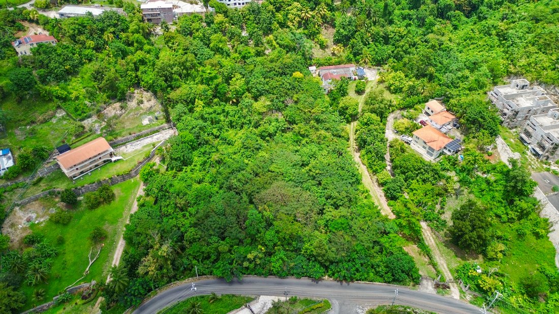Land in Kingston, Jamaica 1 - 17857041