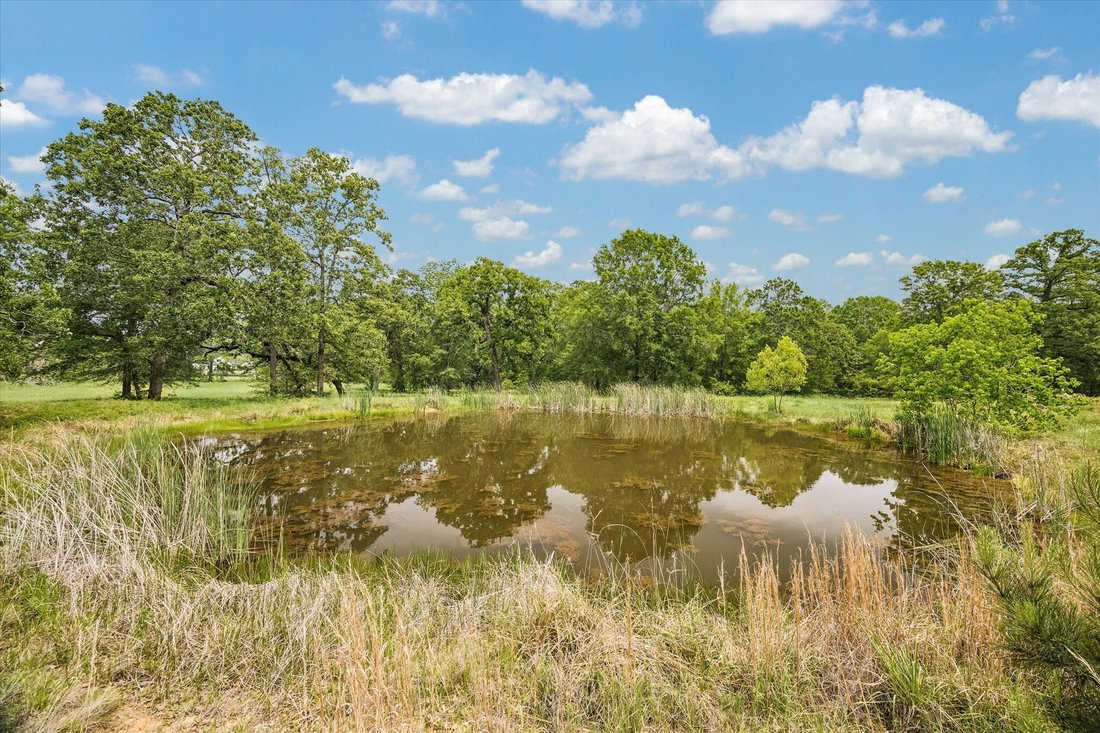 Land in Magnolia, Texas, United States 5 - 17857032