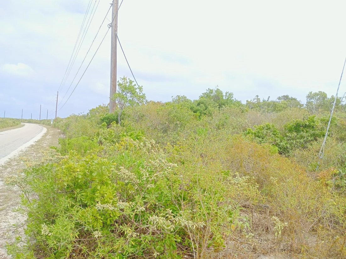 Land in Dixons, San Salvador, The Bahamas 4 - 17856325