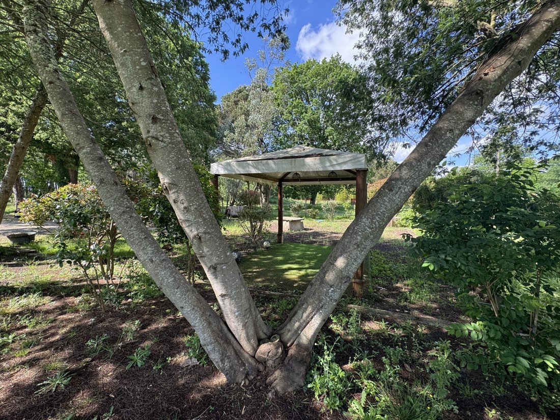 Country House in Parentis-en-Born, Nouvelle-Aquitaine, France 3 - 17857251