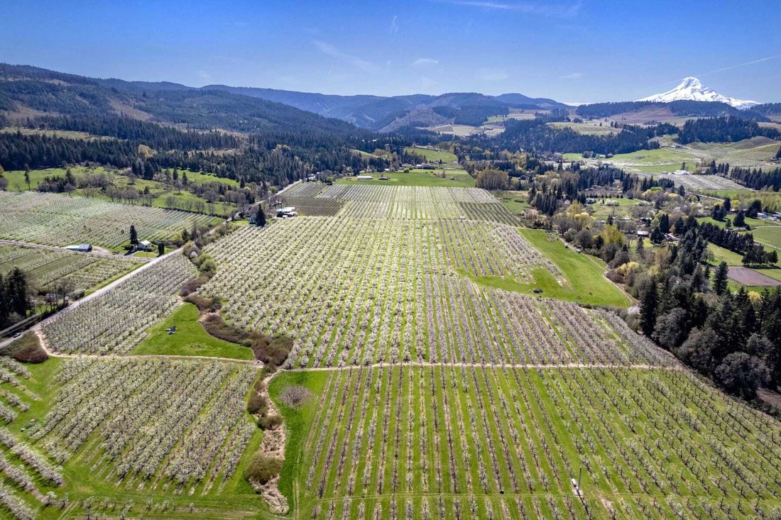 House in Hood River, Oregon, United States 1 - 17852712