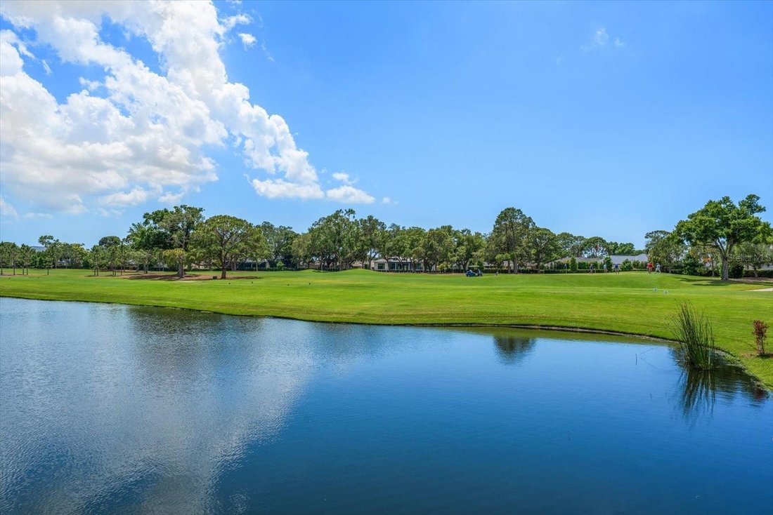 House in Clearwater, Florida, United States 5 - 17855901