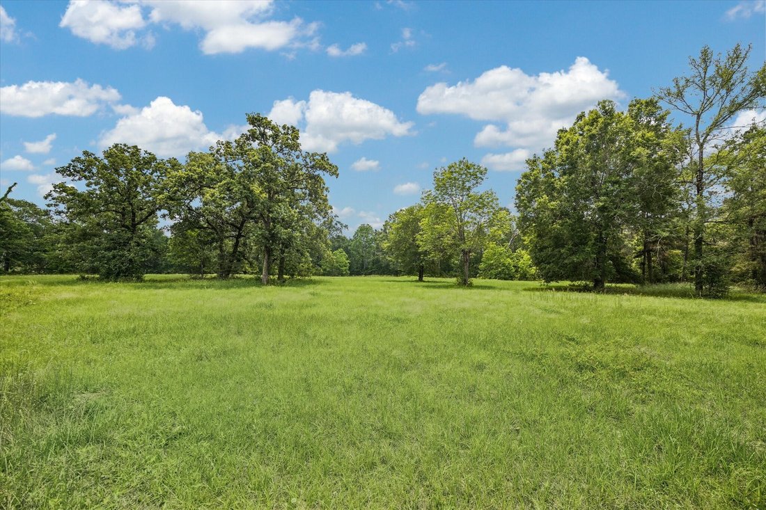 Land in Magnolia, Texas, United States 4 - 17857032