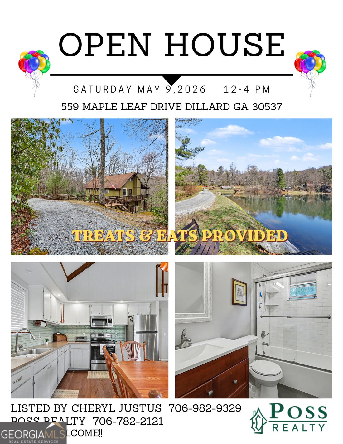 House in Dillard, Georgia, United States 3 - 17388480