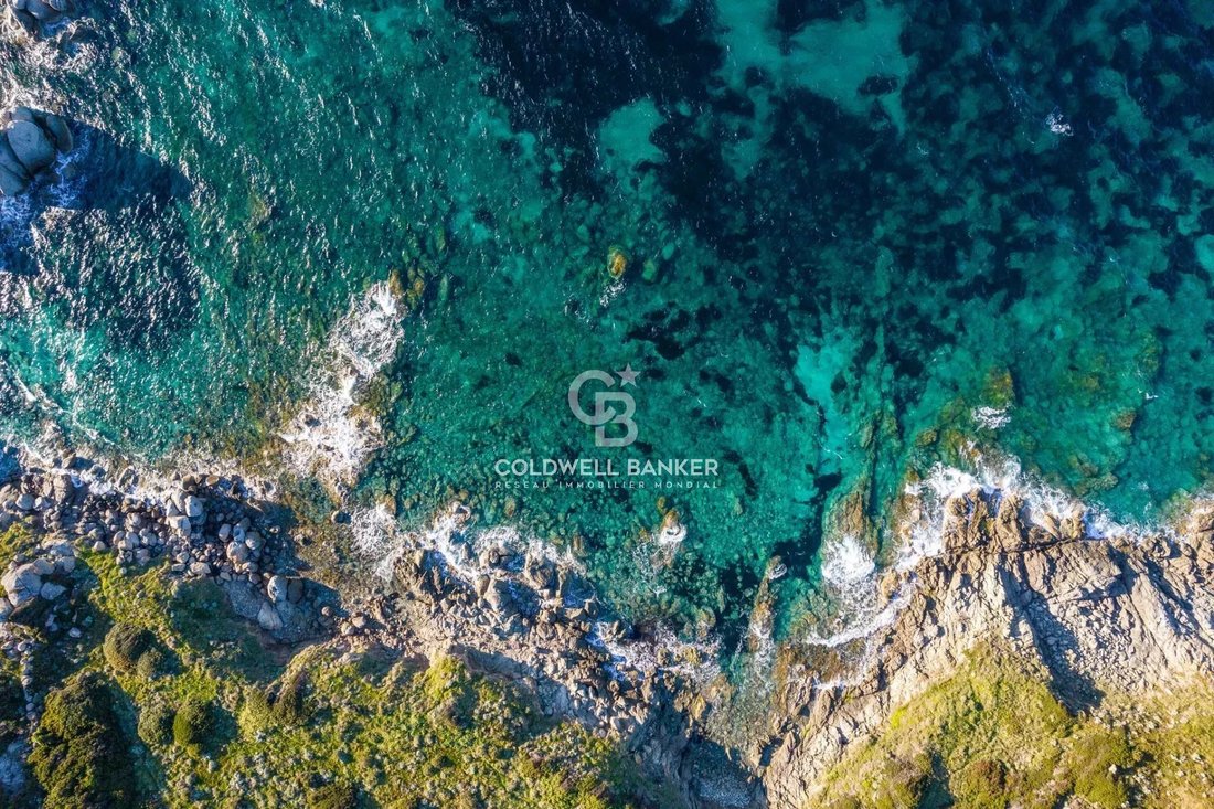 Villa in Corbara, Corsica, France 1 - 16485558