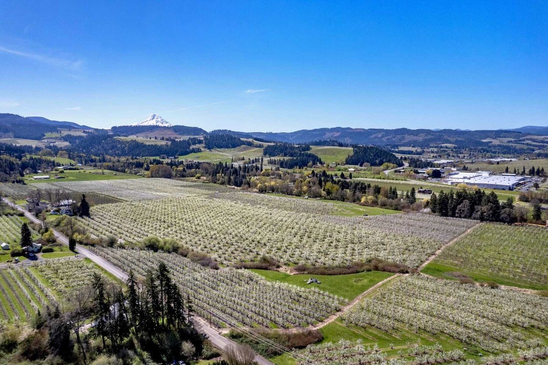 House in Hood River, Oregon, United States 5 - 17852712