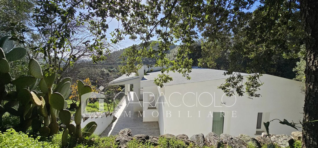 Villa in Porto Rotondo, Olbia, Sardinia 2 - 17851380