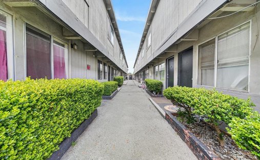 Castroville, California, United States 1