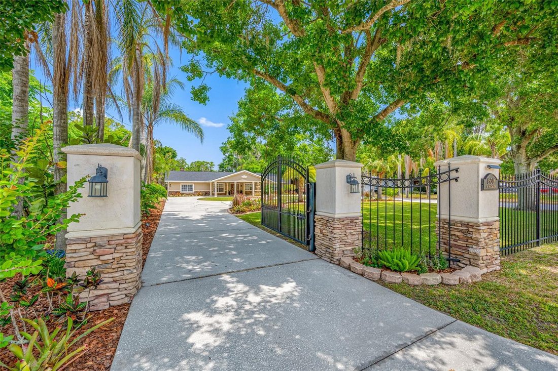 House in Tampa, Florida, United States 1 - 17855045