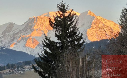Chalet in Combloux, Auvergne-Rhône-Alpes, France 1