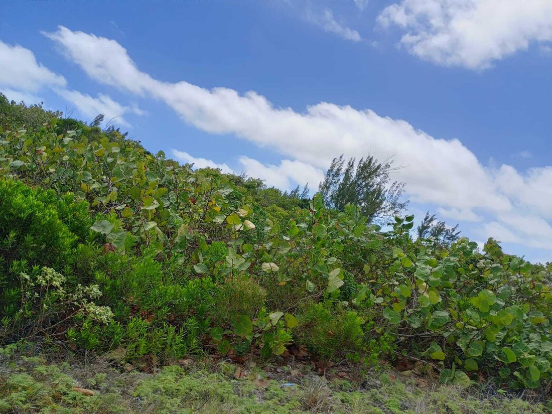 Land in Dixons, San Salvador, The Bahamas 5 - 17856325