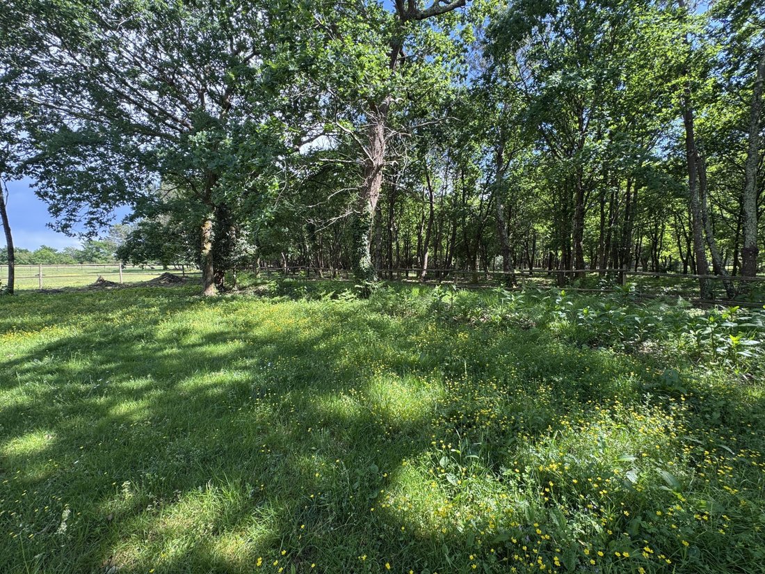 Country House in Parentis-en-Born, Nouvelle-Aquitaine, France 2 - 17857251