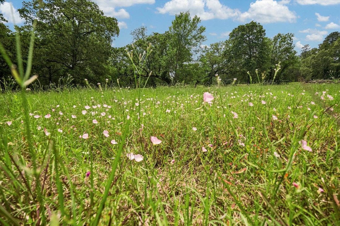 Land in Magnolia, Texas, United States 3 - 17857032