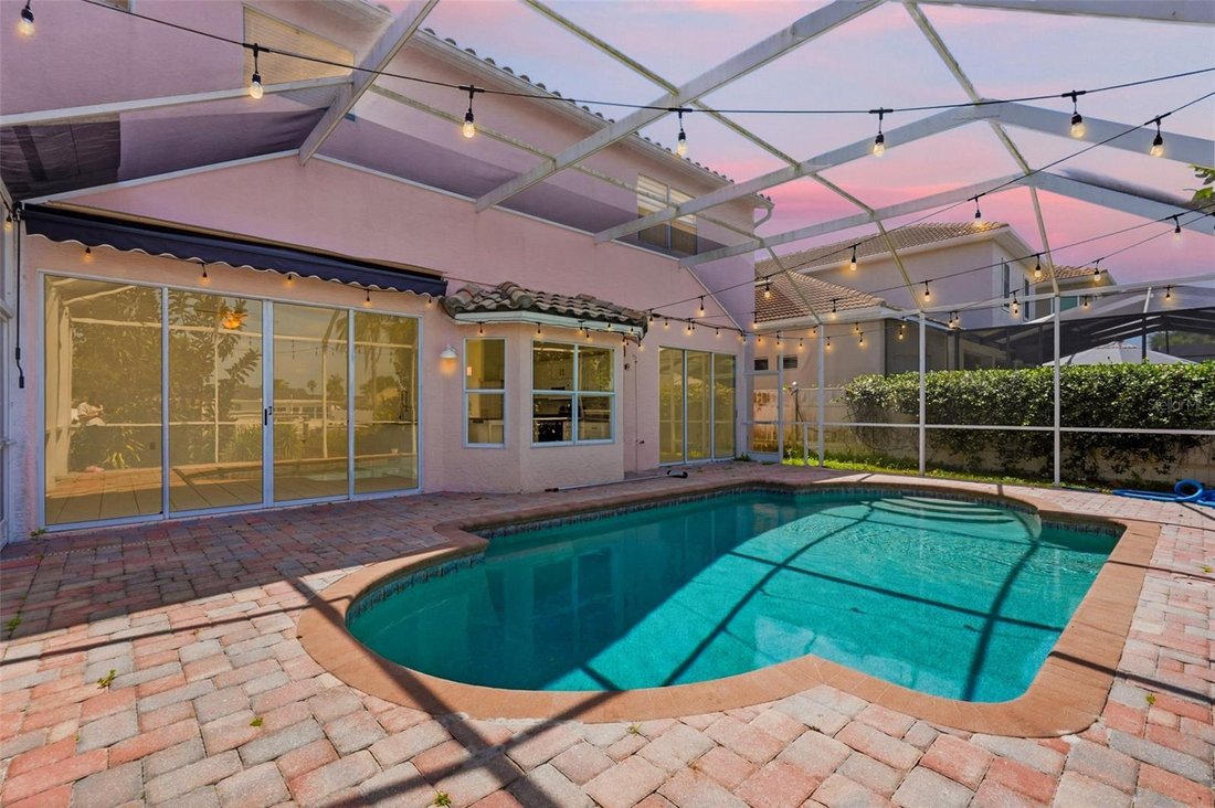 House in Tampa, Florida, United States 3 - 17851650