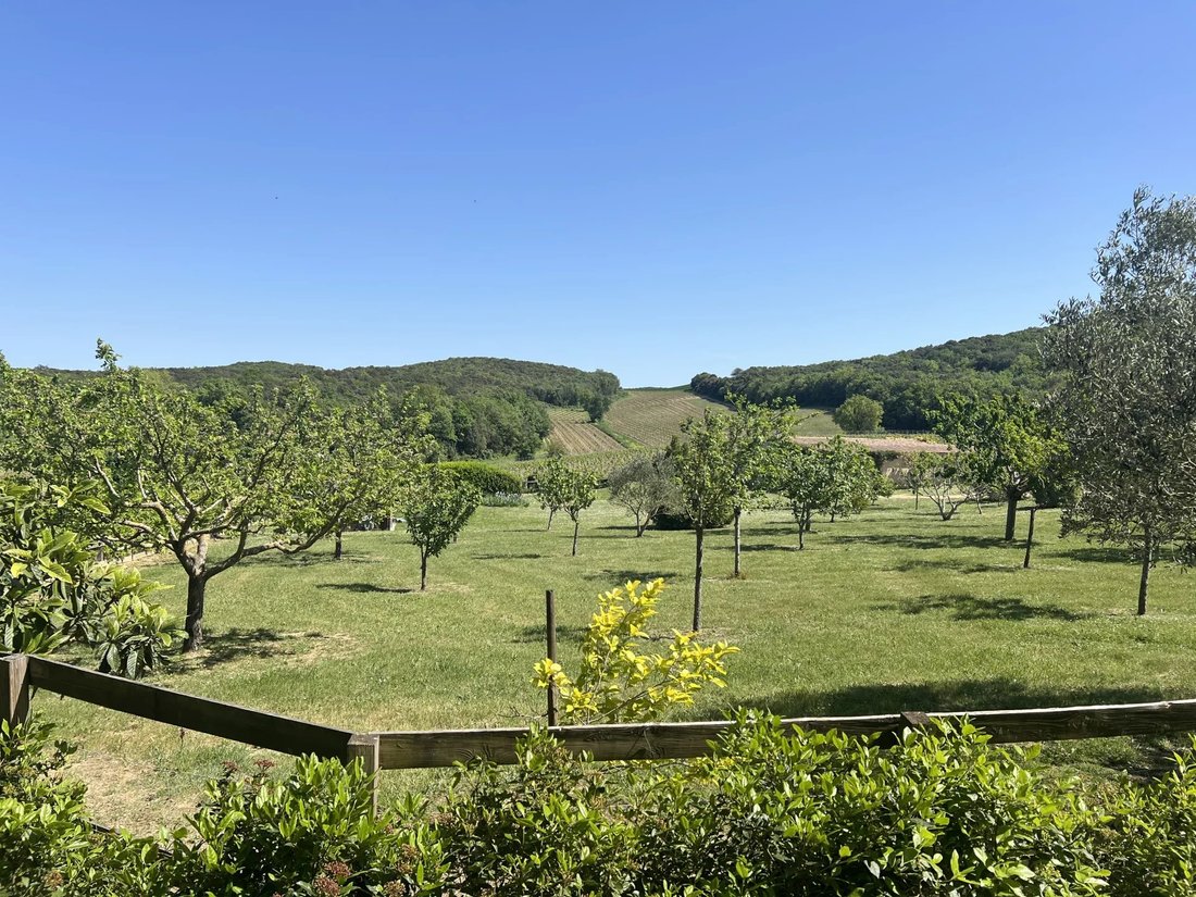 House in Alairac, Occitania, France 3 - 17852152