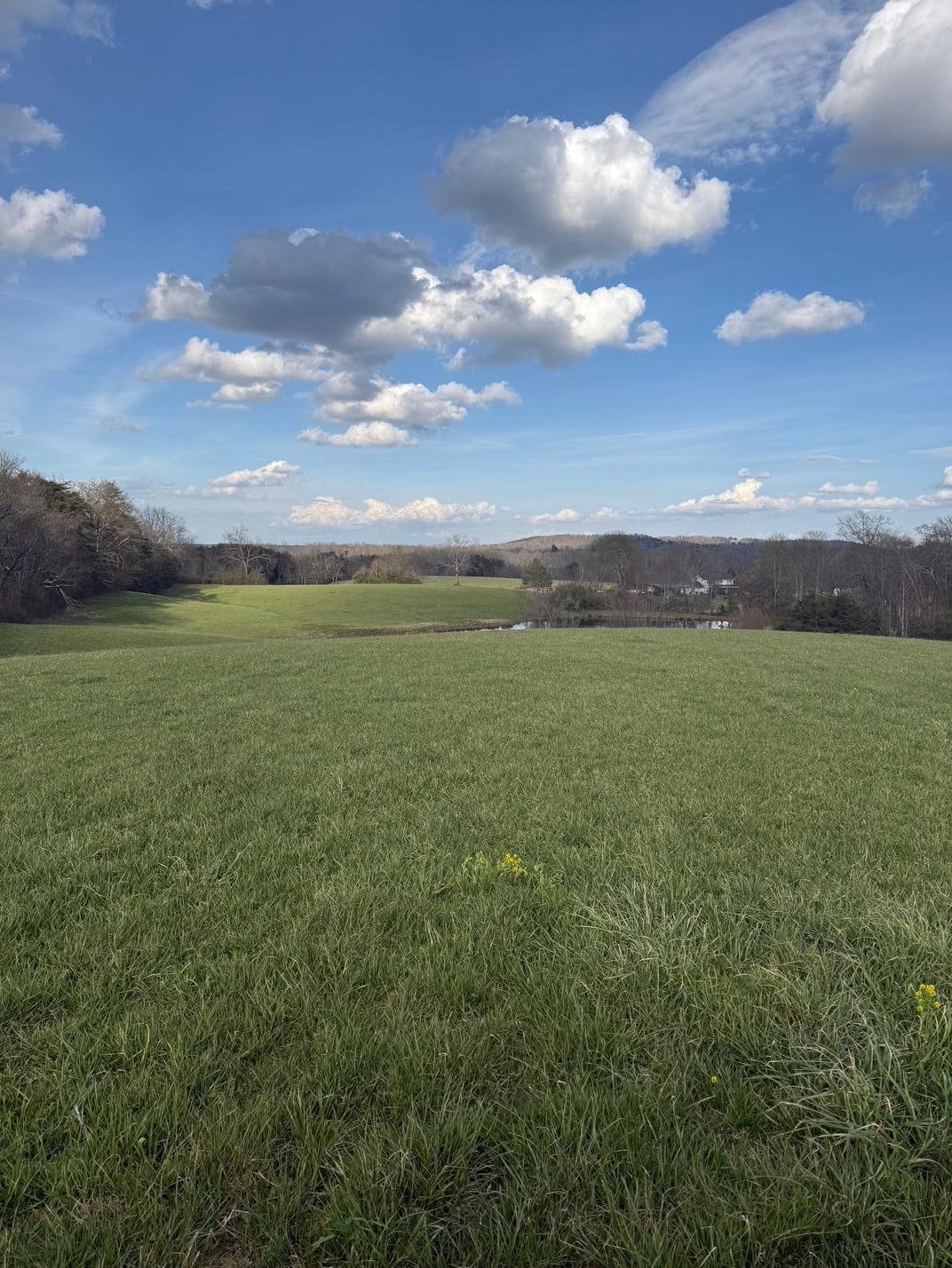 Land in Pikeville, Tennessee, United States 1 - 17851306