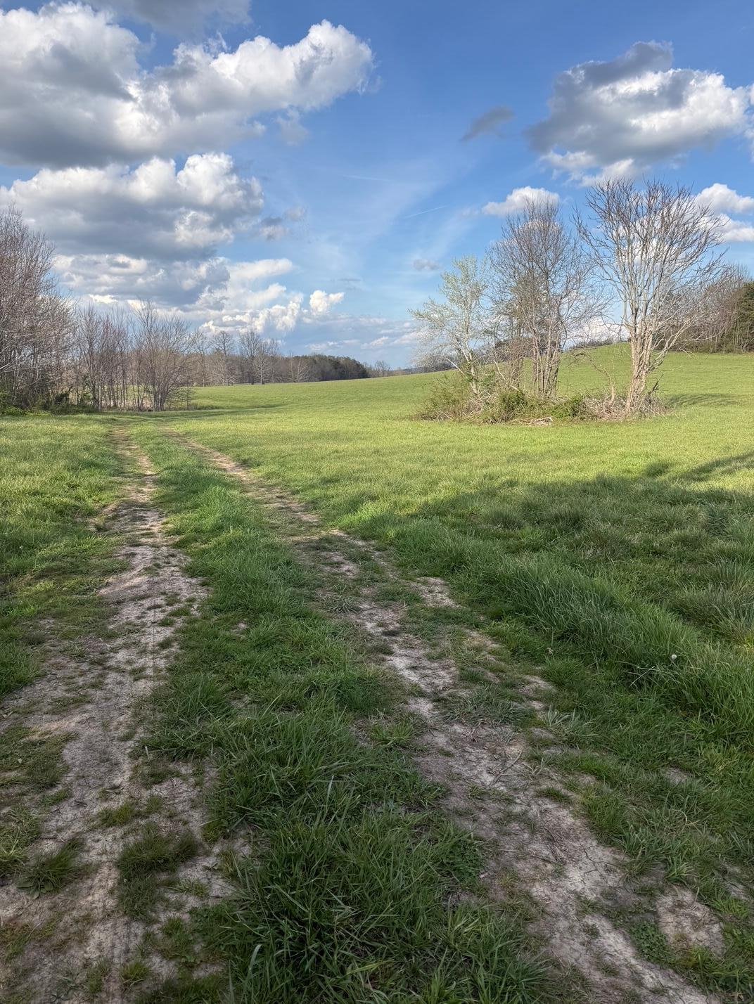Land in Pikeville, Tennessee, United States 5 - 17851306