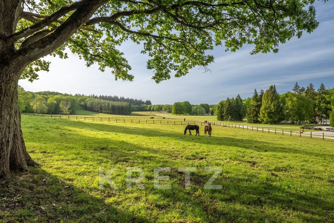 Estate in Hermeray, Ile-de-France, France 1 - 17853244
