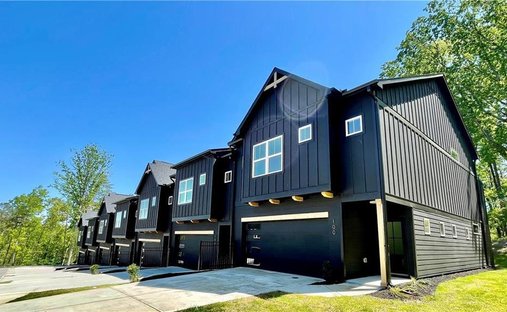 Townhouse in Waleska, Georgia, United States 1