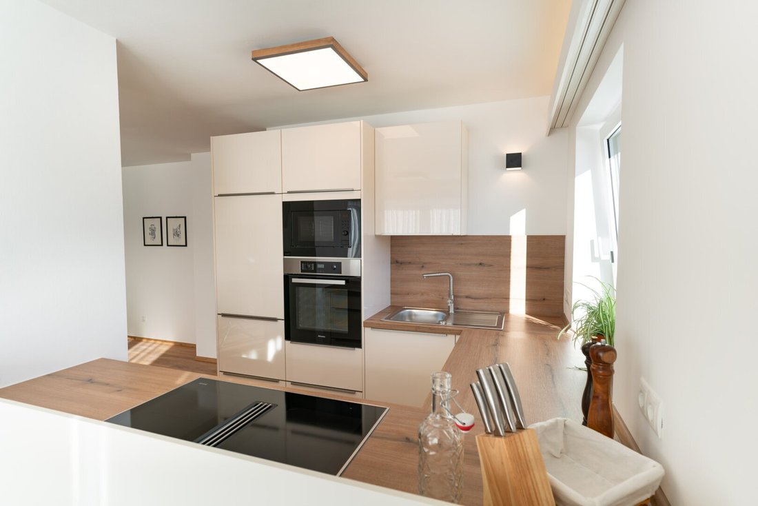 Apartment in Ramsau am Dachstein, Styria, Austria 2 - 17702221