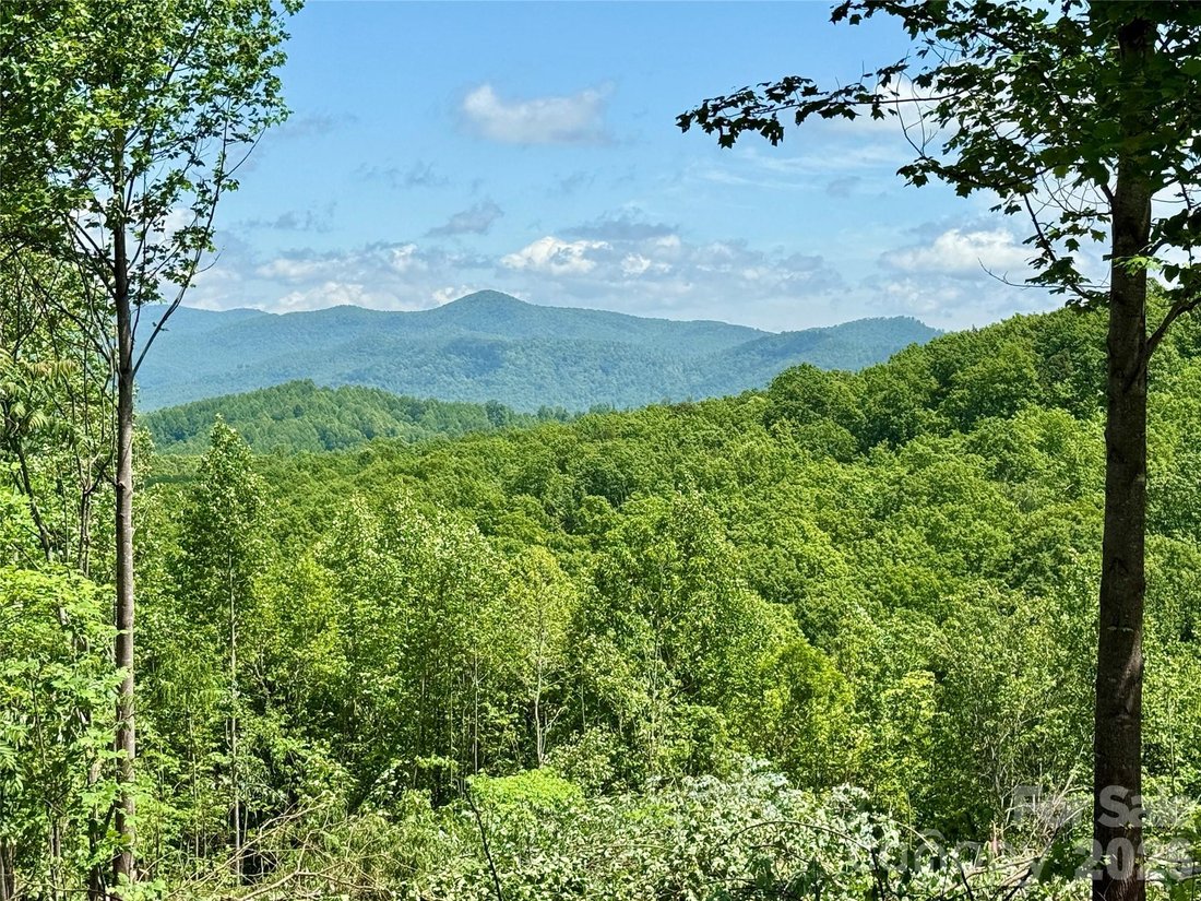 House in Nebo, North Carolina, United States 3 - 16812087