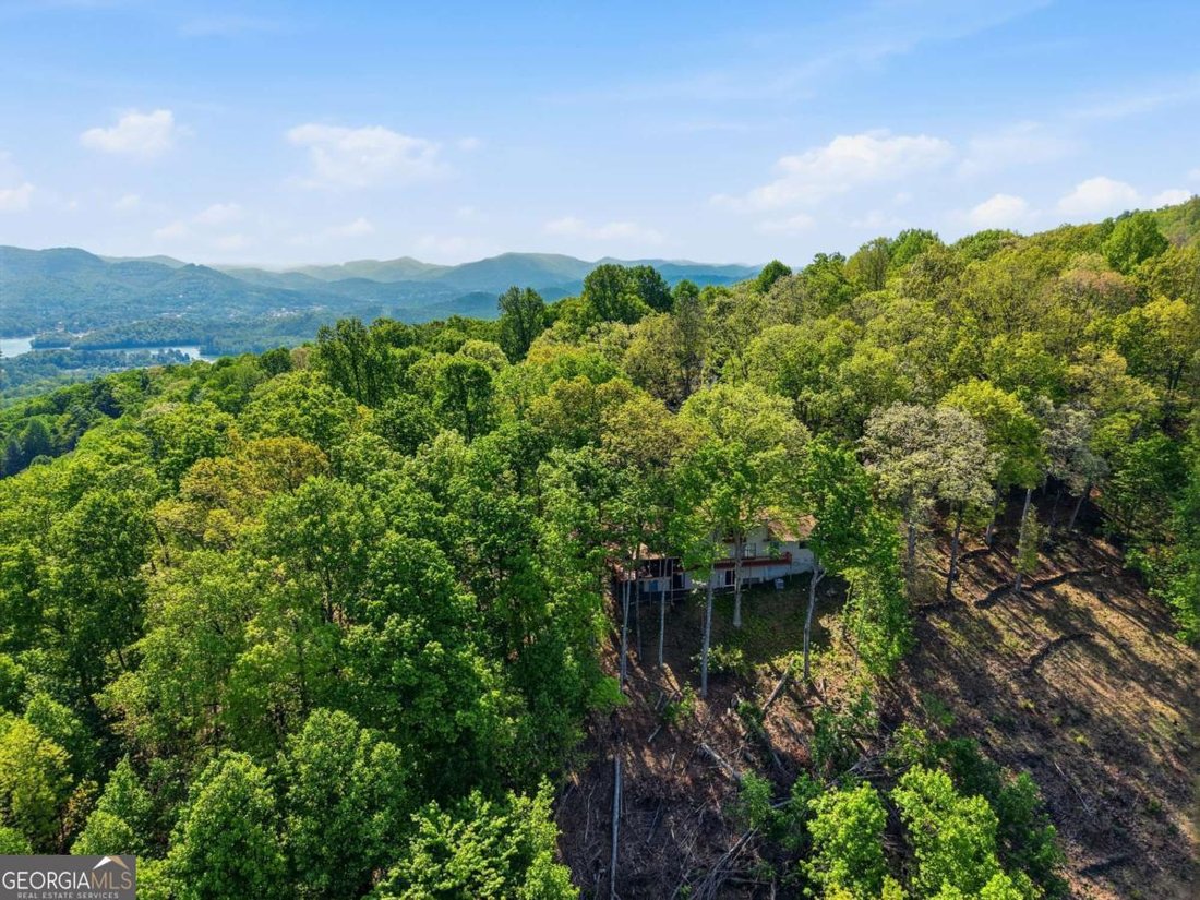 House in Hiawassee, Georgia, United States 5 - 17851898
