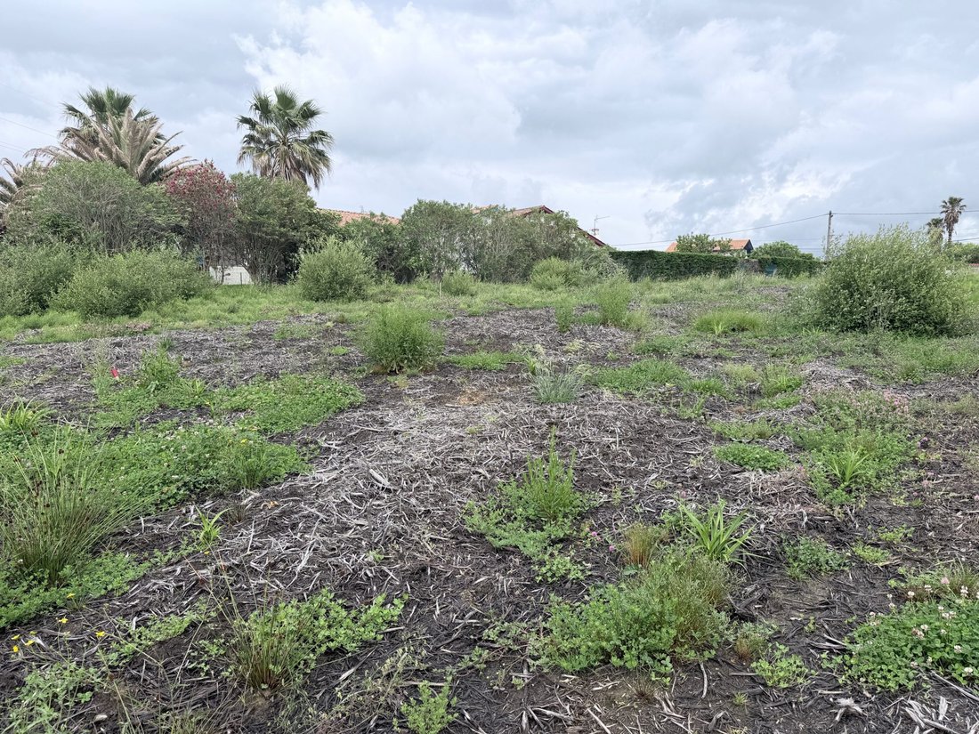 Land in Bidart, Nouvelle-Aquitaine, France 2 - 17857215