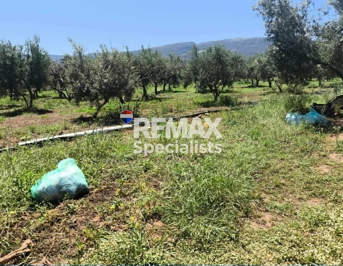 Land in Crete, Greece 4 - 17852298
