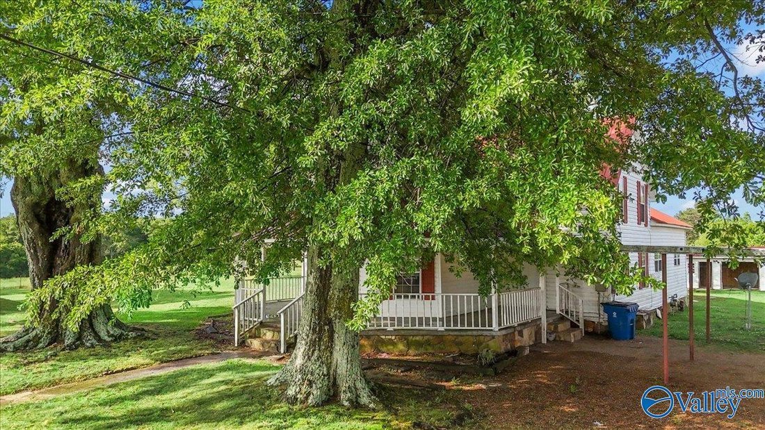 Farm Ranch in Horton, Alabama, United States 3 - 17854491