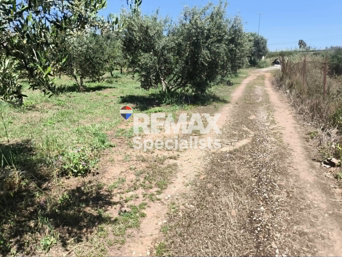 Land in Crete, Greece 3 - 17852298