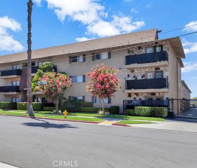 Riverside, California, United States 4 - 16895680