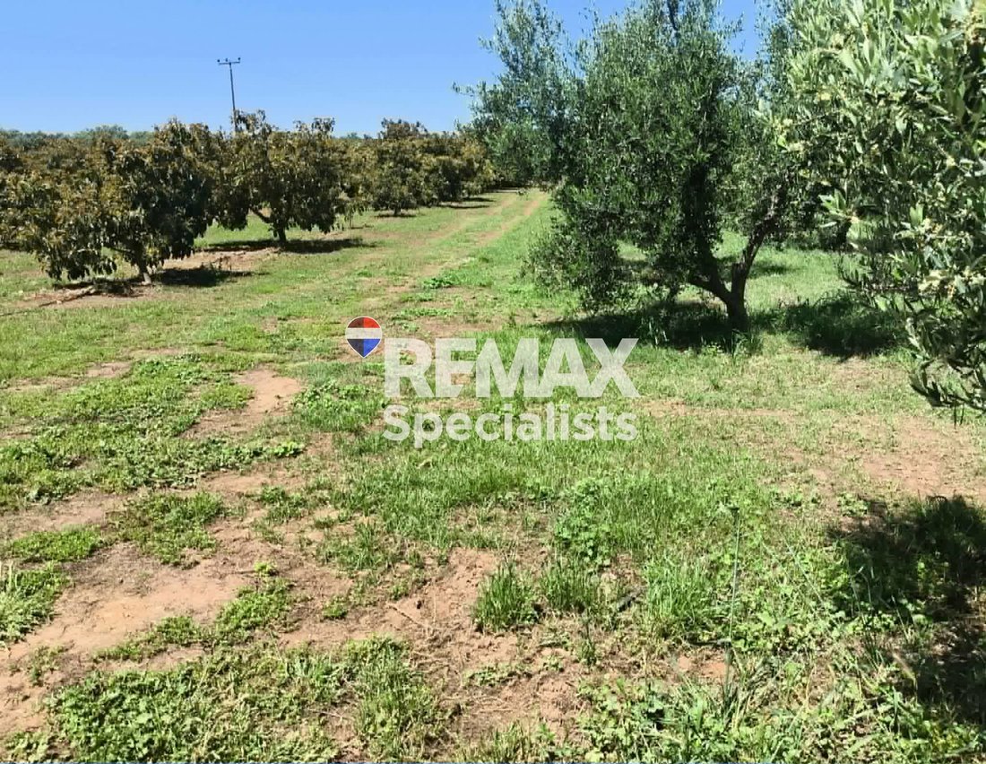 Land in Crete, Greece 5 - 17852298
