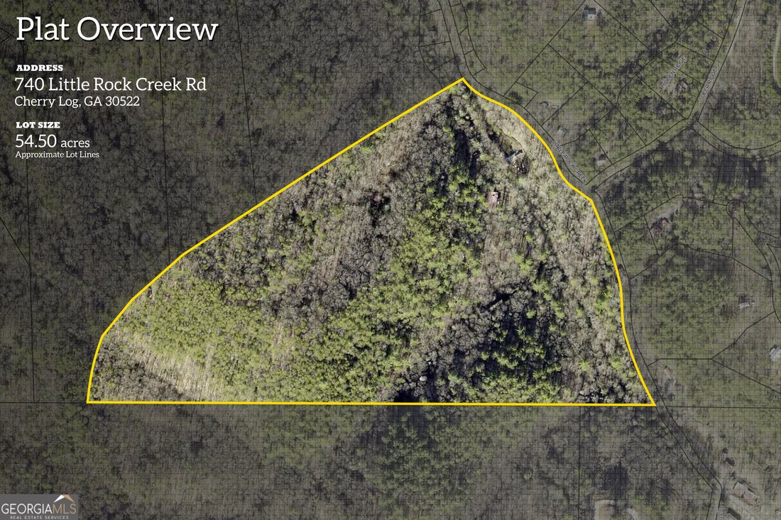 House in Ellijay, Georgia, United States 4 - 17854847
