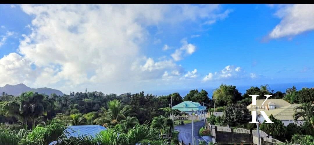 Villa in Saint-Claude, Basse-Terre, Guadeloupe 3 - 15991518