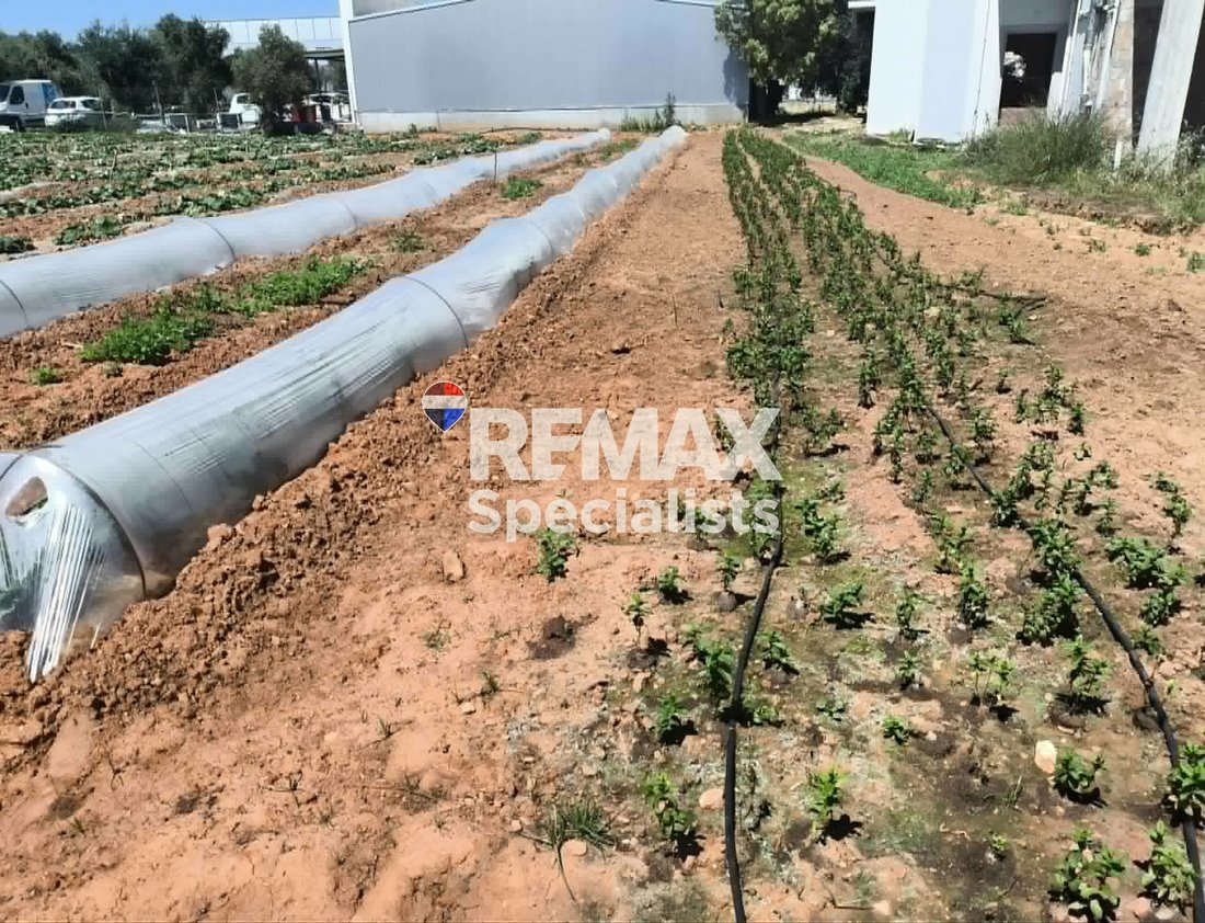 Land in Crete, Greece 2 - 17852298