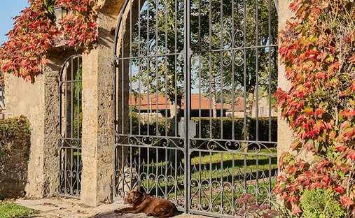 A Restored 17th Century Chateau With Outbuildings, A Garden, A Swimming Pool, A Secondary - 4