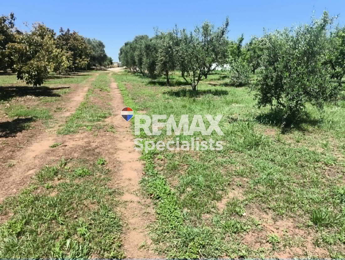 Land in Crete, Greece 1 - 17852298
