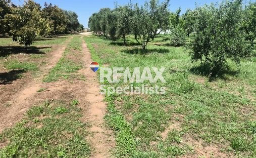 Terreno in Creta, Grecia 1