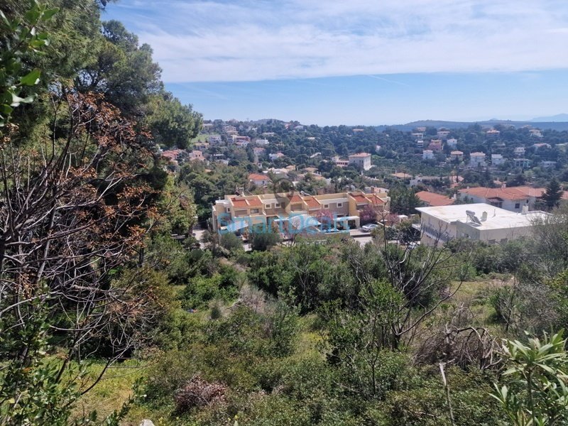 Land in Penteli, Attica, Greece 5 - 17855419
