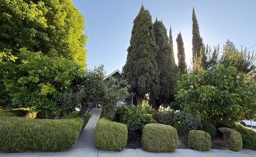 House in Kingsburg, California, United States 1