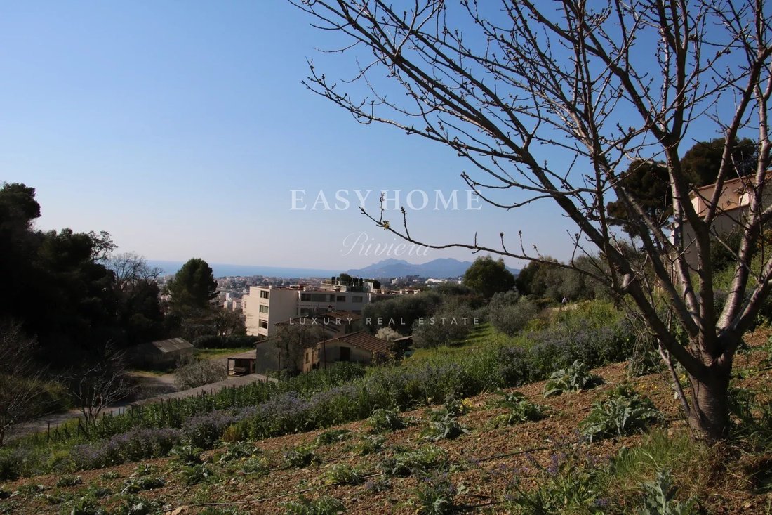 Land in Vieux Cannet, Le Cannet, France 4 - 11941809