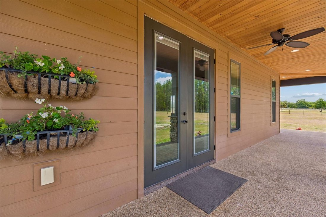 House in Zephyrhills, Florida, United States 5 - 17854974