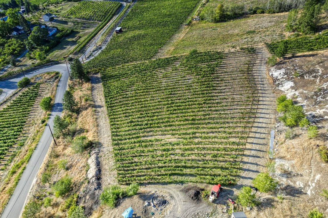Naramata, British Columbia, Canada 5 - 17855998